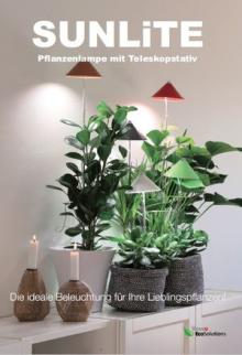 Ideální osvětlení vašich oblíbených pokojových rostlin