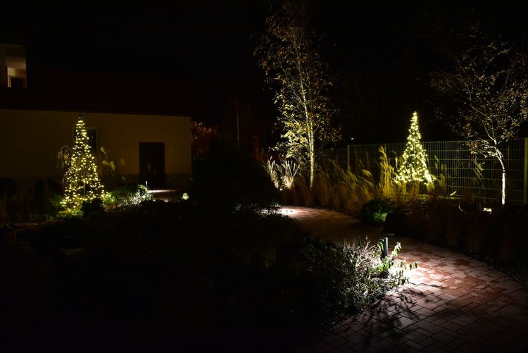 Vánoční osvětlení pomocí svítících stromů Fairybell 