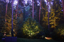 Osvětlení lesní zahrady návrh a realizace 