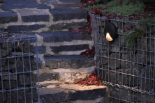 Venkovní nástěnné svítidlo na gabionové zídce, osvětlení venkovního schodiště 