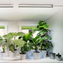  - LED lišta 60 cm k osvětlení vertikálních zahrad a rostlin v interiéru